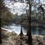 The Historic Suwannee River.