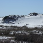 Dunes at Grayton